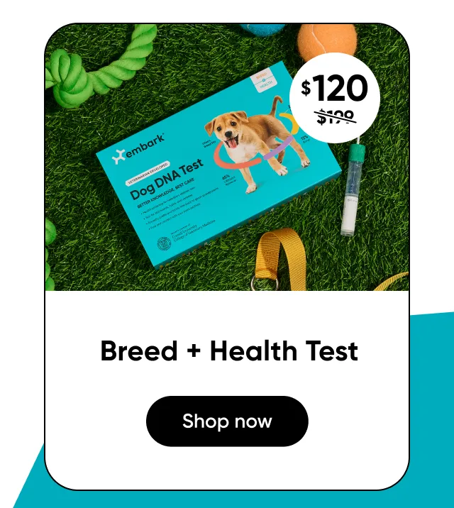 Shop Breed + Health Test