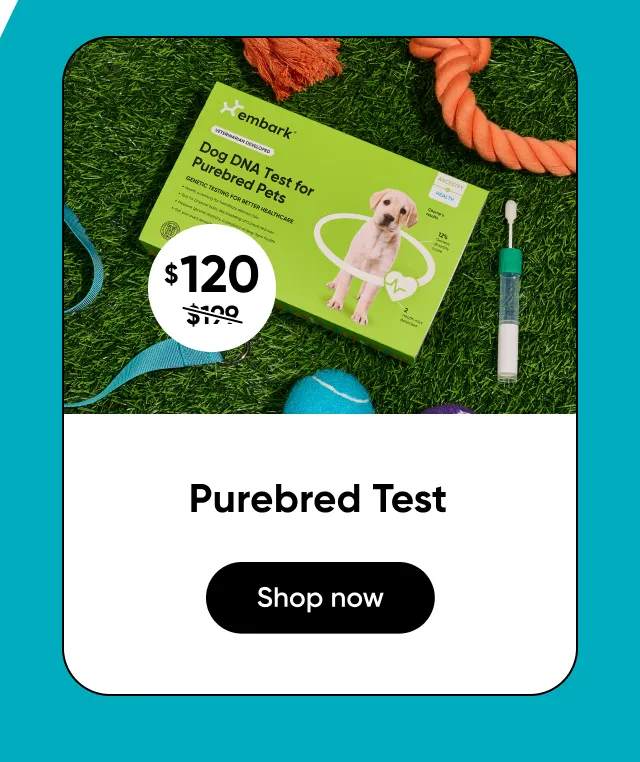 Shop Purebred Test
