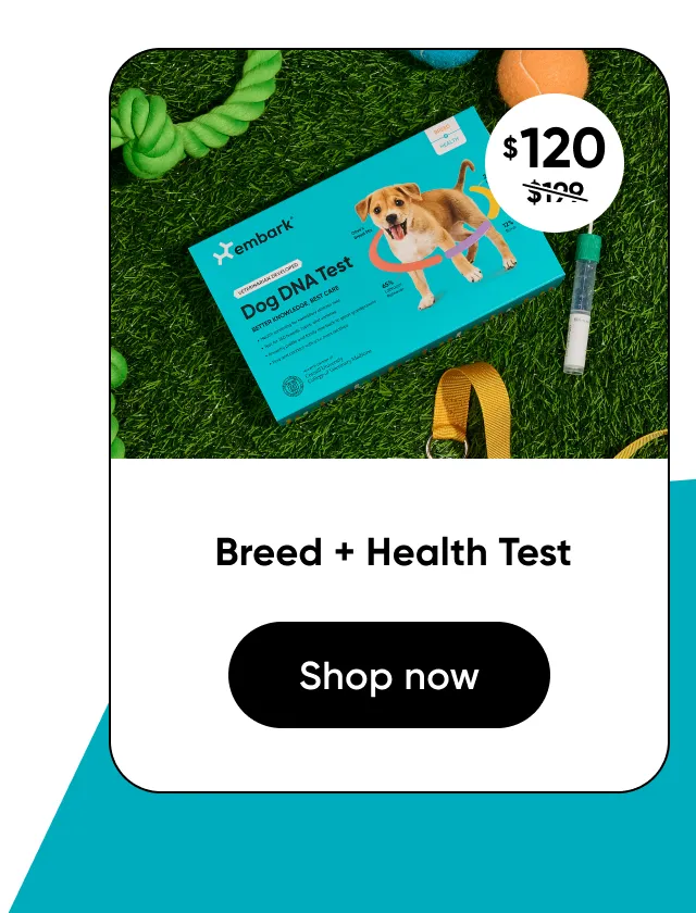 Shop Breed + Health Test
