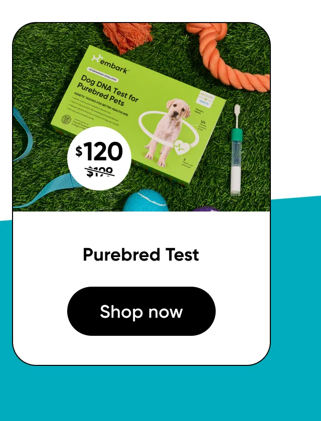 Shop Purebred Test