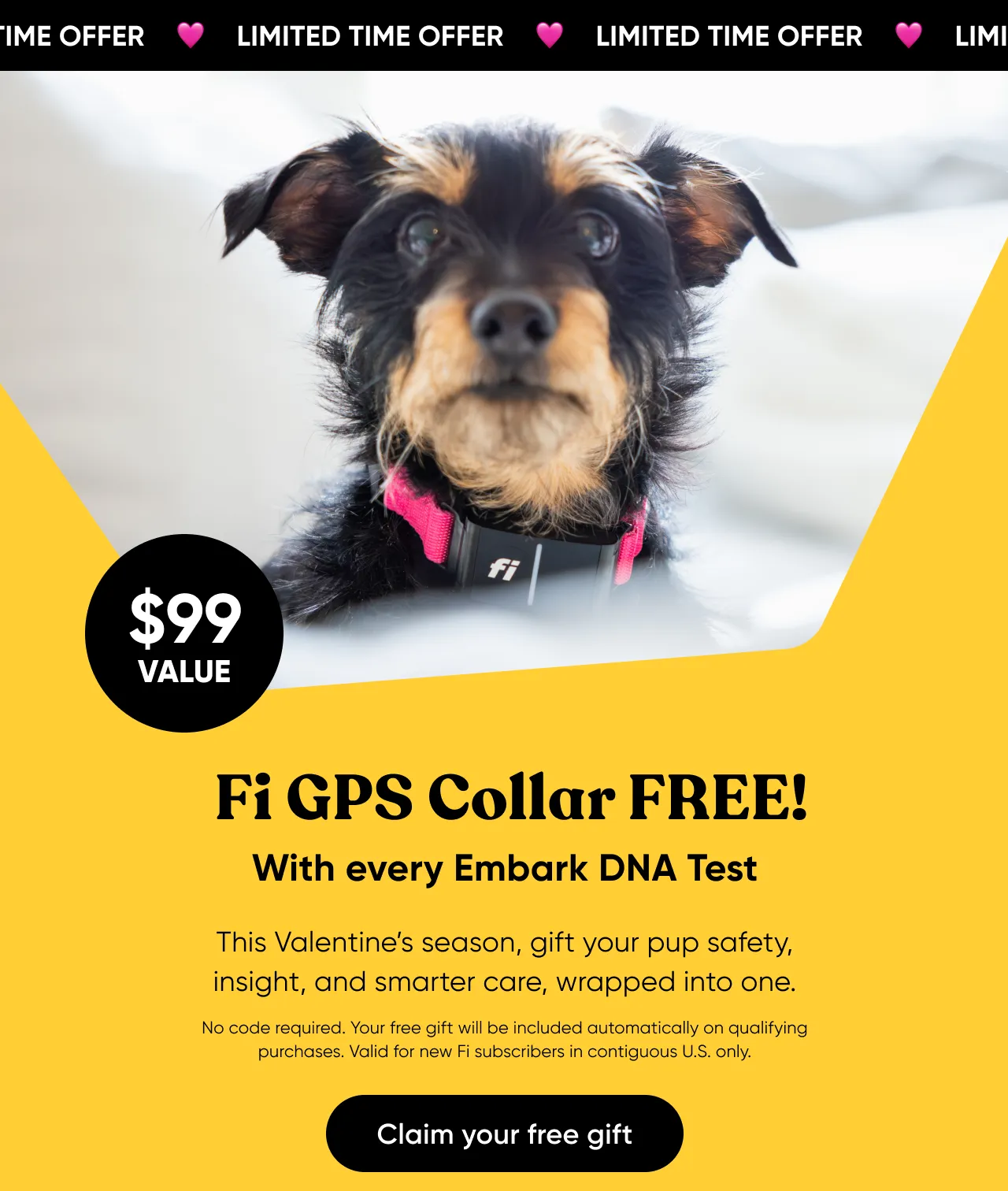 Get a Fi Collar and 6 months of GPS tracking free with every Embark DNA test order. This Valentine's season, gift your pup safety, insight, and smarter care, wrapped into one. No code required. Your free gift will be included automatically on qualifying purchases. Valid for new Fi subscribers in contiguous U.S only. Claim your free gift.