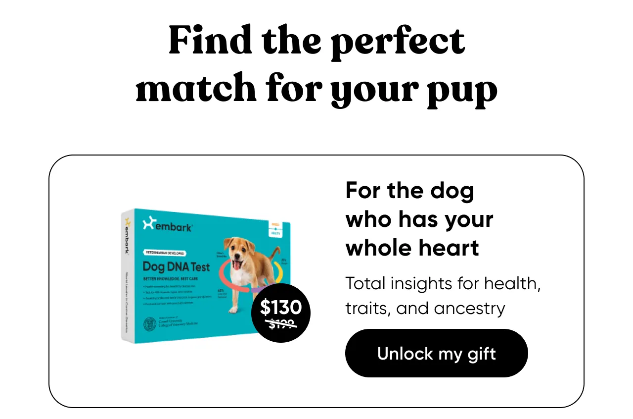 For the dog who has your whole heart. Total insights for health, traits, and ancestry. Shop Breed + Health Test