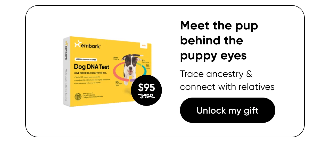 Meet the pup behind the puppy eyes. Trace ancestry and connect with relatives.Shop Breed ID Test