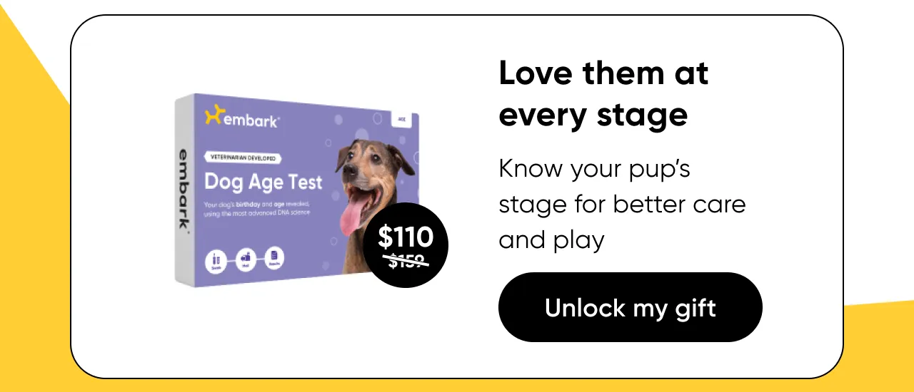 Love them at every stage. Know your pup's life stage for better care and play.Shop Age Test