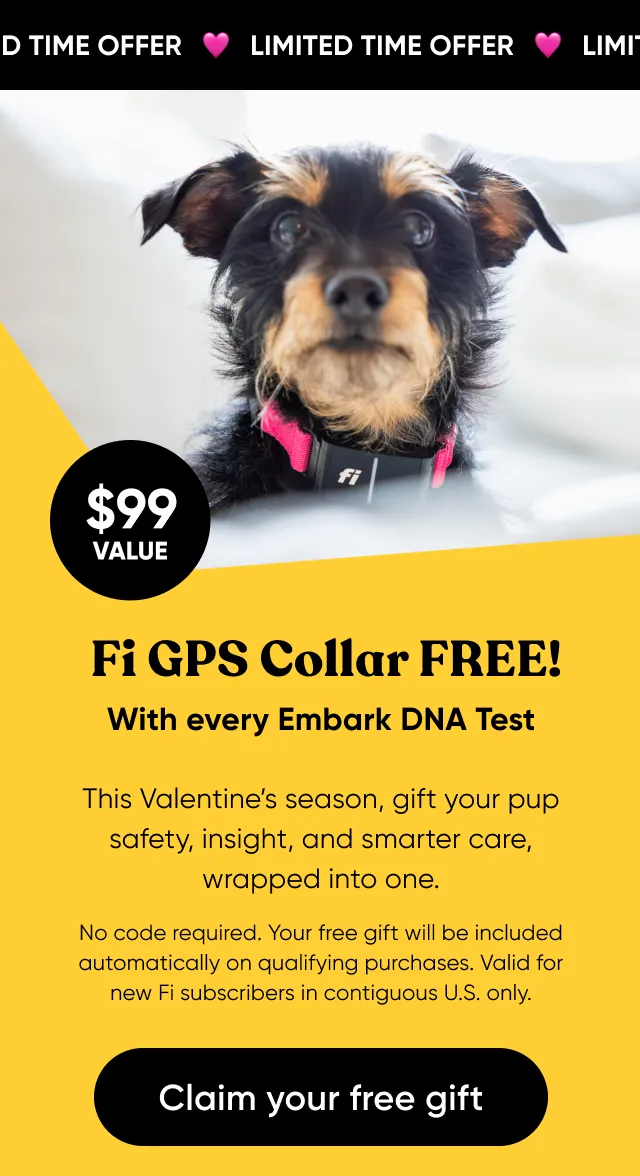 Get a Fi Collar and 6 months of GPS tracking free with every Embark DNA test order. This Valentine's season, gift your pup safety, insight, and smarter care, wrapped into one. No code required. Your free gift will be included automatically on qualifying purchases. Valid for new Fi subscribers in contiguous U.S only. Claim your free gift.