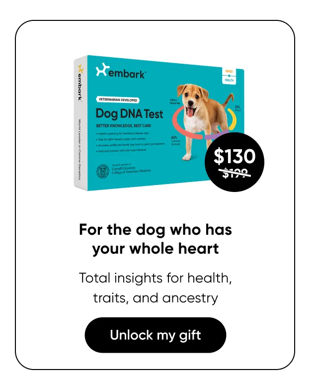 For the dog who has your whole heart. Total insights for health, traits, and ancestry. Shop Breed + Health Test