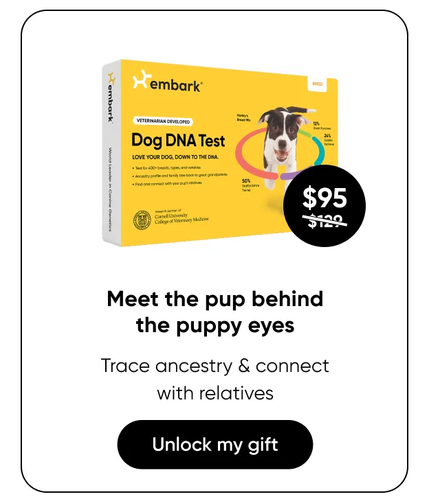 Meet the pup behind the puppy eyes. Trace ancestry and connect with relatives.Shop Breed ID Test