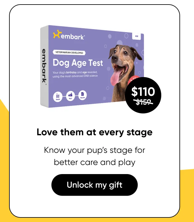 Love them at every stage. Know your pup's life stage for better care and play.Shop Age Test