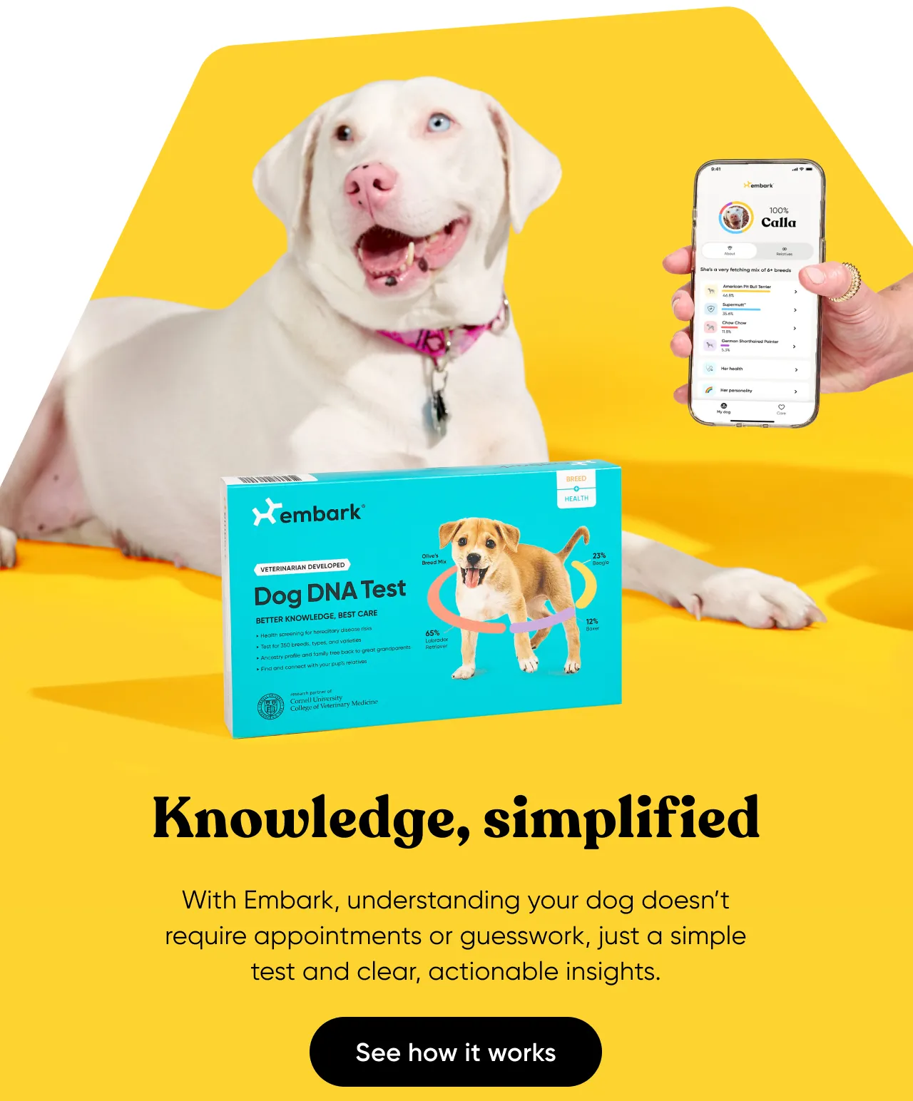 Knowledge, simplified. With Embark, understanding your dog doesn't require appointments or guesswork, just a simple test and clear, actionable insights.
