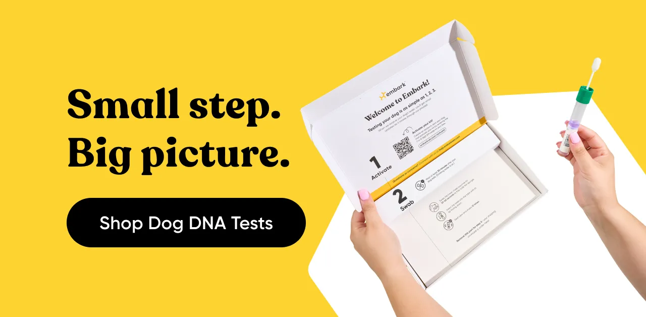 Small step. Big picture. Shop Dog DNA Tests.