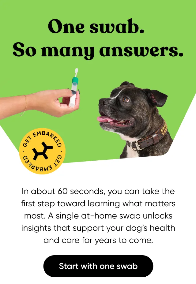 One swab. So many answers. In about 60 seconds, you can take the first step toward learning what matters most. A single at-home swab unlocks insights that support your dog's health and care for years to come.