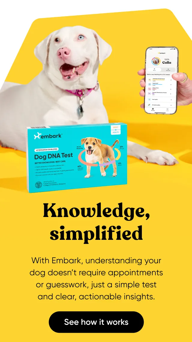 Knowledge, simplified. With Embark, understanding your dog doesn't require appointments or guesswork, just a simple test and clear, actionable insights.