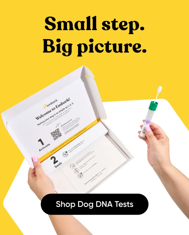 Small step. Big picture. Shop Dog DNA Tests.