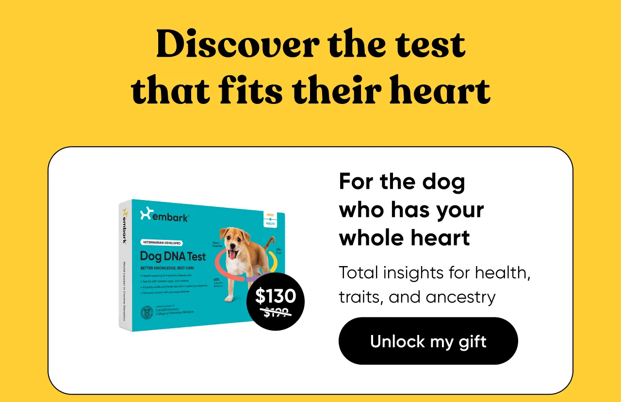 For the dog who has your whole heart. Total insights for health, traits, and ancestry. Shop Breed + Health Test