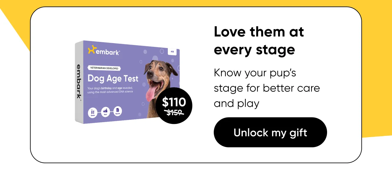 Love them at every stage. Know your pup's life stage for better care and play.Shop Age Test