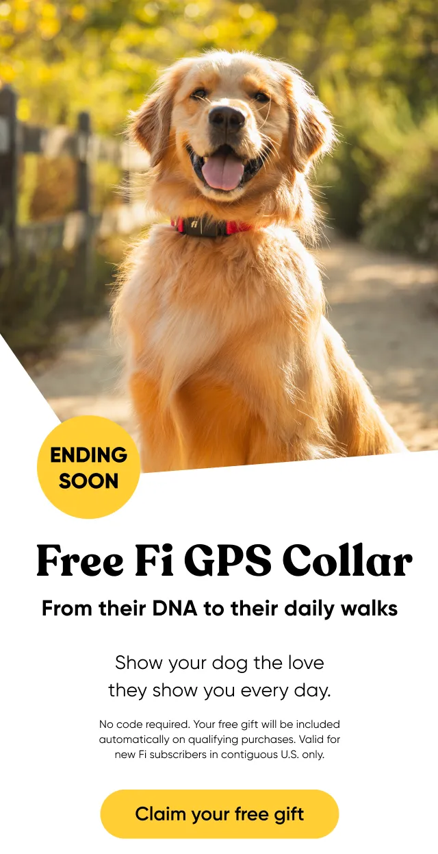Ending soon! Free Fi GPS Collar. From their DNA to their daily walks. Show your dog the love they show you every day. No code required. Your free gift will be included automatically on qualifying purchases. Valid for new Fi subscribers in contiguous U.S. only. Claim your free gift.