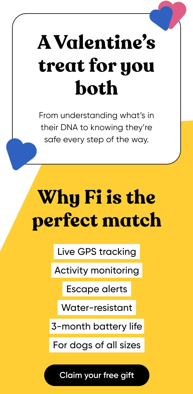 A Valentine's treat for you both. From understanding what's in their DNA to knowing they're safe every step of the way. What Fi brings to your daily routine: Live GPS tracking, activity monitoring, escape alerts, water-resistant, 3-month battery life, for dogs of all sizes. Claim your free gift.