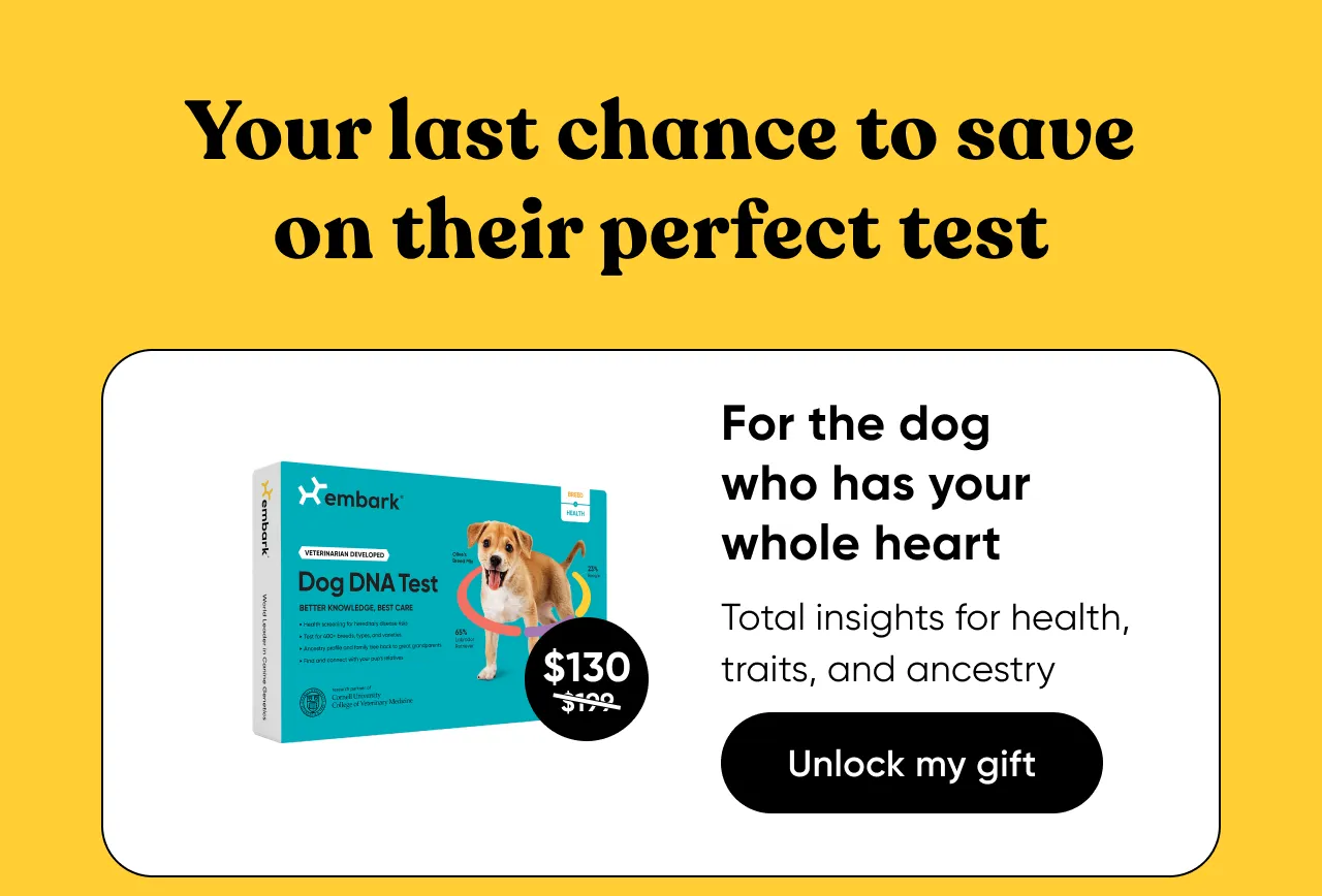 For the dog who has your whole heart. Total insights for health, traits, and ancestry. Shop Breed + Health Test