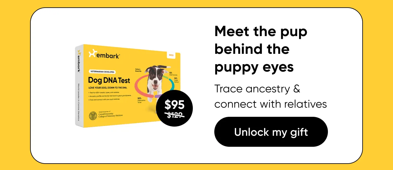 Meet the pup behind the puppy eyes. Trace ancestry and connect with relatives.Shop Breed ID Test
