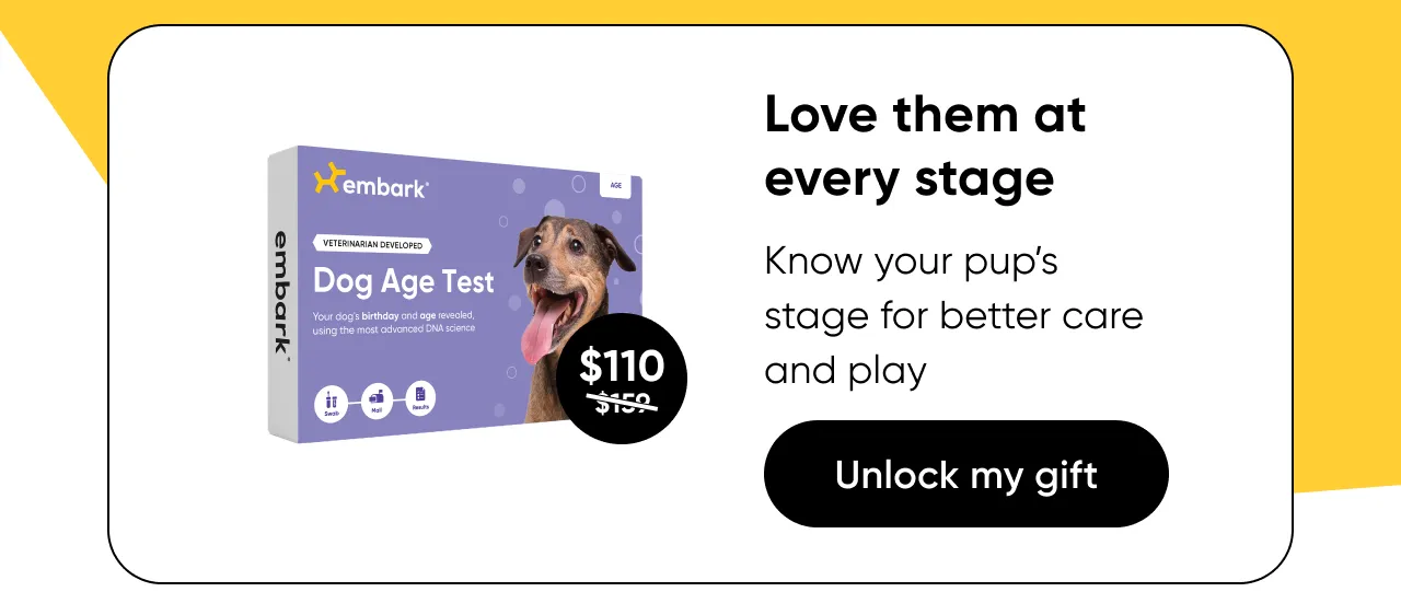 Love them at every stage. Know your pup's life stage for better care and play.Shop Age Test