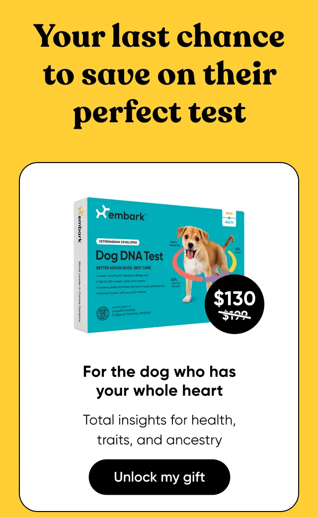 For the dog who has your whole heart. Total insights for health, traits, and ancestry. Shop Breed + Health Test