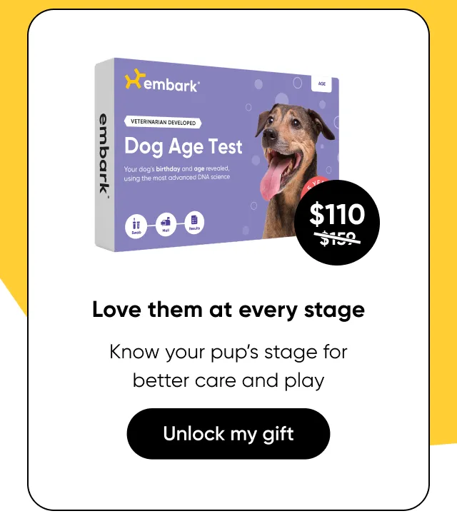 Love them at every stage. Know your pup's life stage for better care and play.Shop Age Test