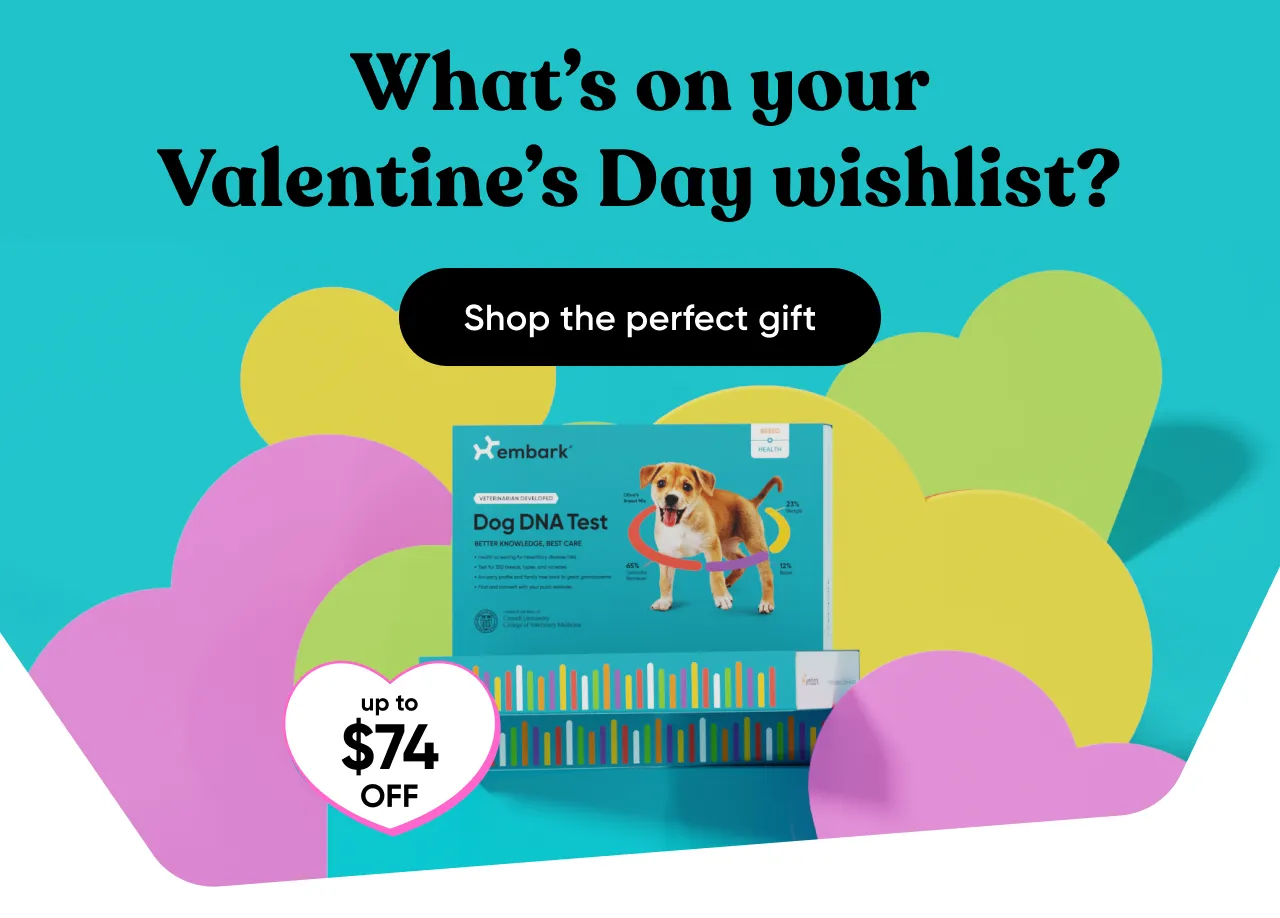 What's on your Valentine's Day wishlist? Shop the perfect gift