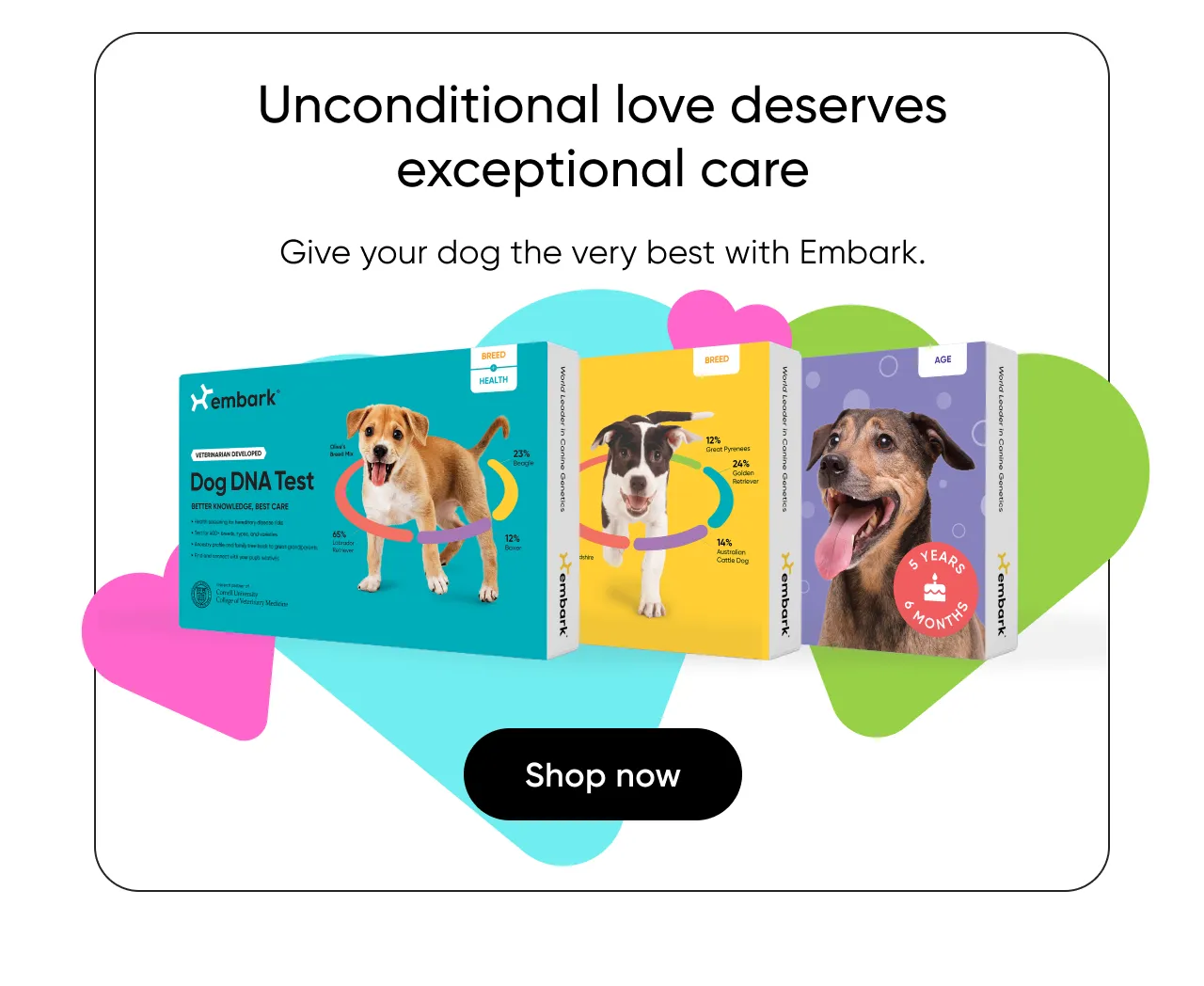 Unconditional love deserves expectional care. Give your dog the very best with Embark. Shop now.