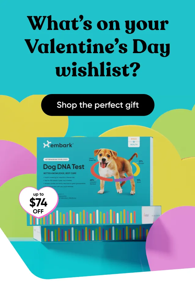 What's on your Valentine's Day wishlist? Shop the perfect gift