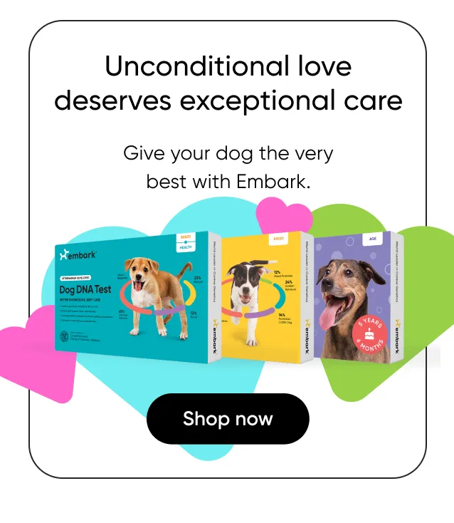 Unconditional love deserves expectional care. Give your dog the very best with Embark. Shop now.