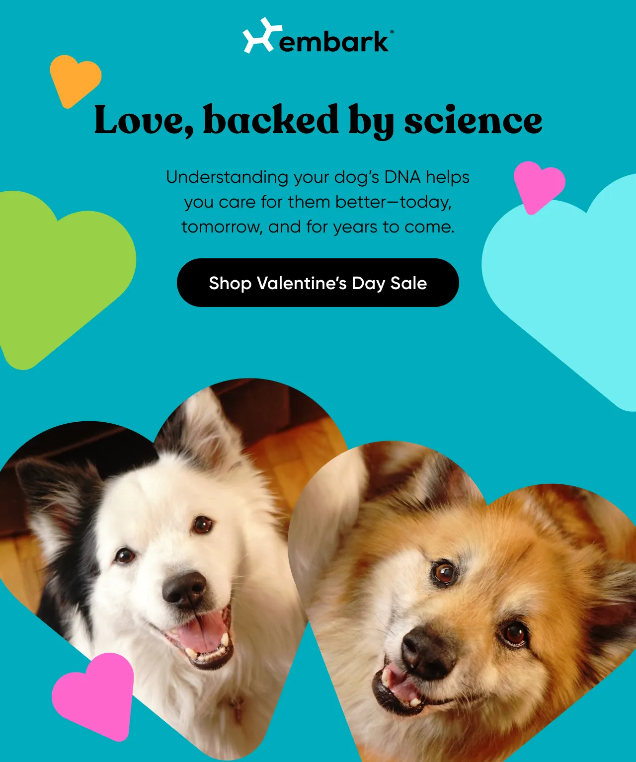 Love, backed by science. Understanding your dog's DNA helps you care for them better—today, tomorrow, and for years to come. Shop Valentine's Day Sale.