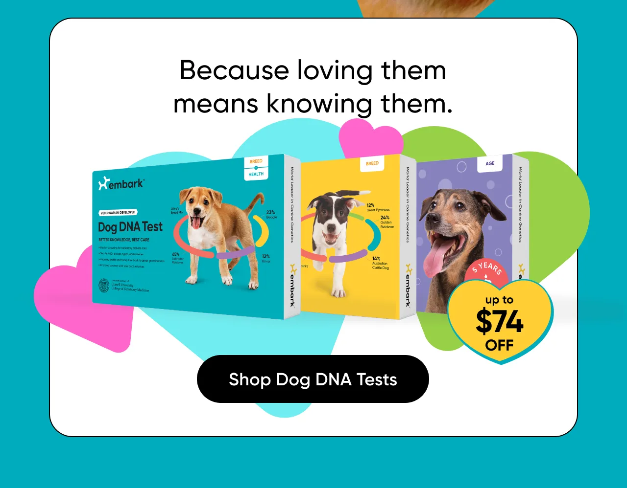 Because loving them means knowing them. Shop Dog DNA Tests.