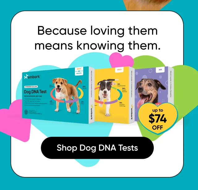 Because loving them means knowing them. Shop Dog DNA Tests.