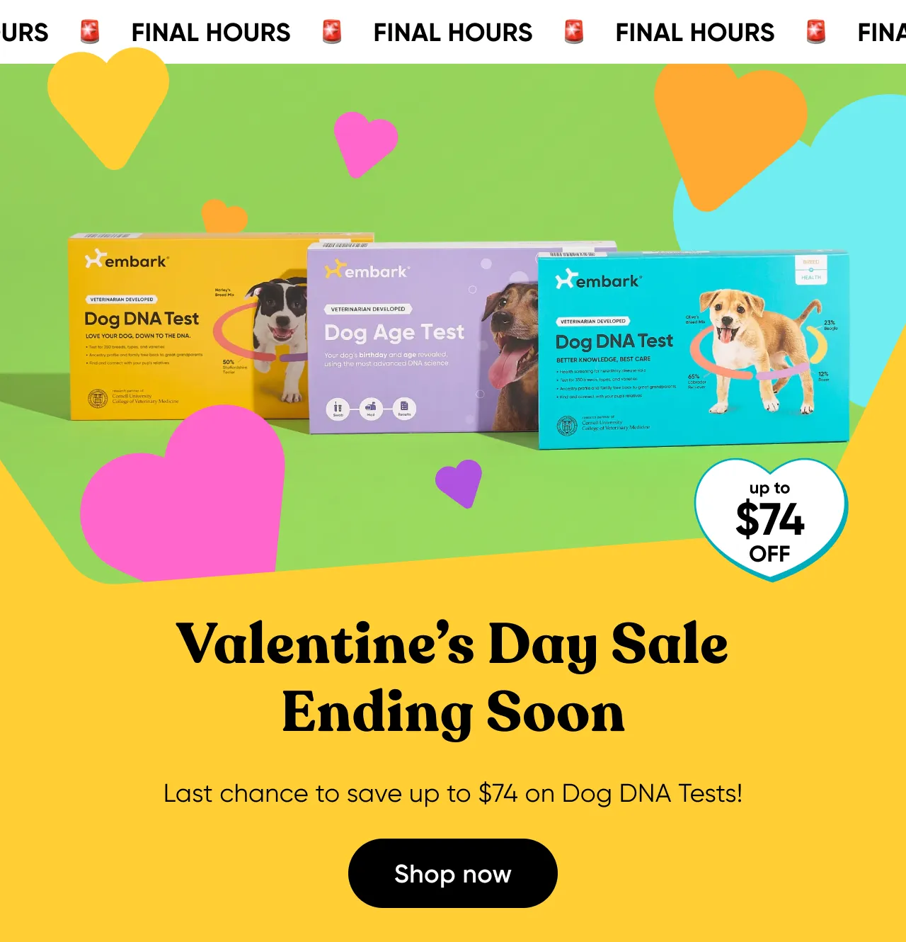 FINAL HOURS! Up to $74 off. Valentine's Day Sale ending soon! Last chance to save up to $74 on Dog DNA Tests. Shop now