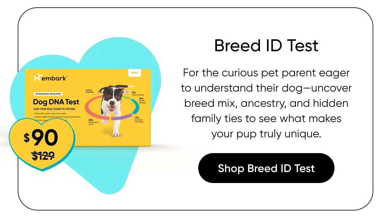 For the curious pet parent eager to understand their dog—uncover breed mix, ancestry, and hidden family ties to see what makes your pup truly unique. Shop Breed ID Test.