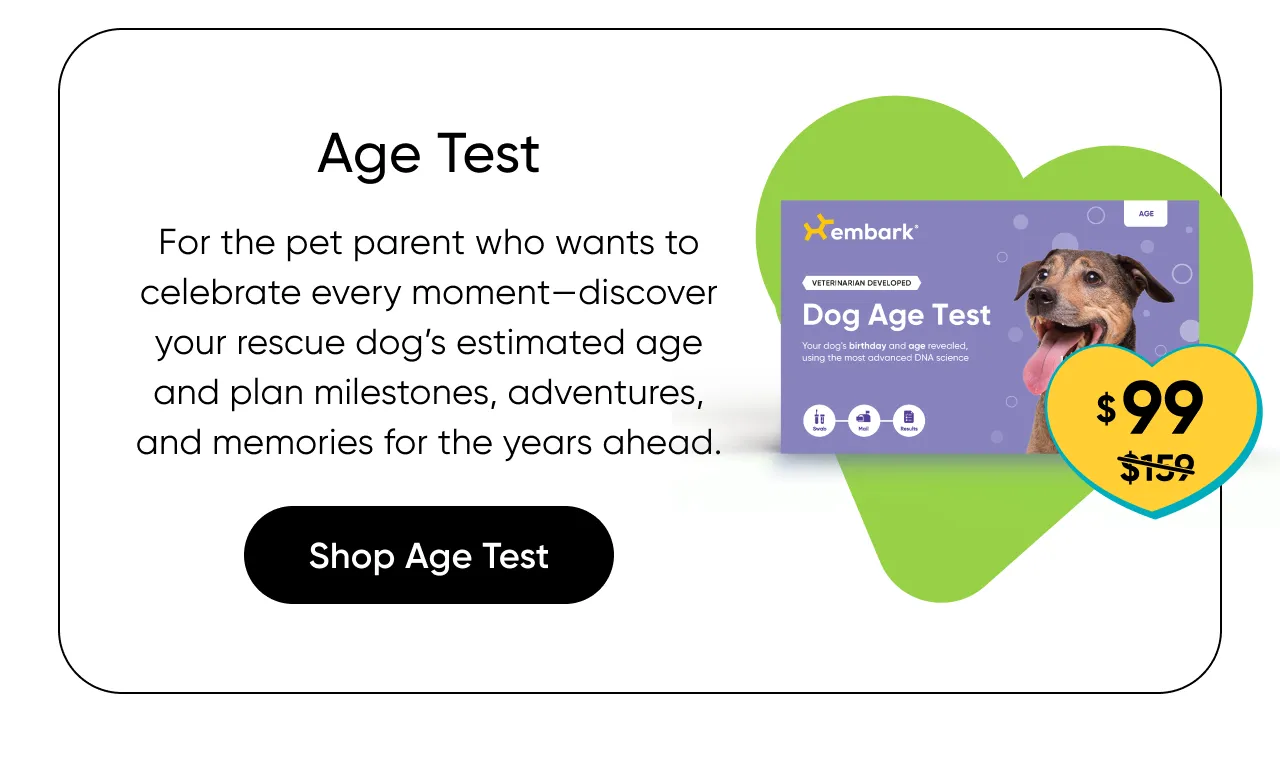 For the pet parent who wants to celebrate every moment—discover your rescue dog's estimated age and plan milestones, adventures, and memories for the years ahead. Shop Age Test.