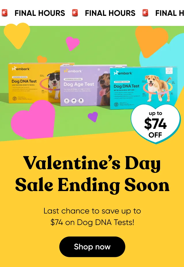 FINAL HOURS! Up to $74 off. Valentine's Day Sale ending soon! Last chance to save up to $74 on Dog DNA Tests. Shop now