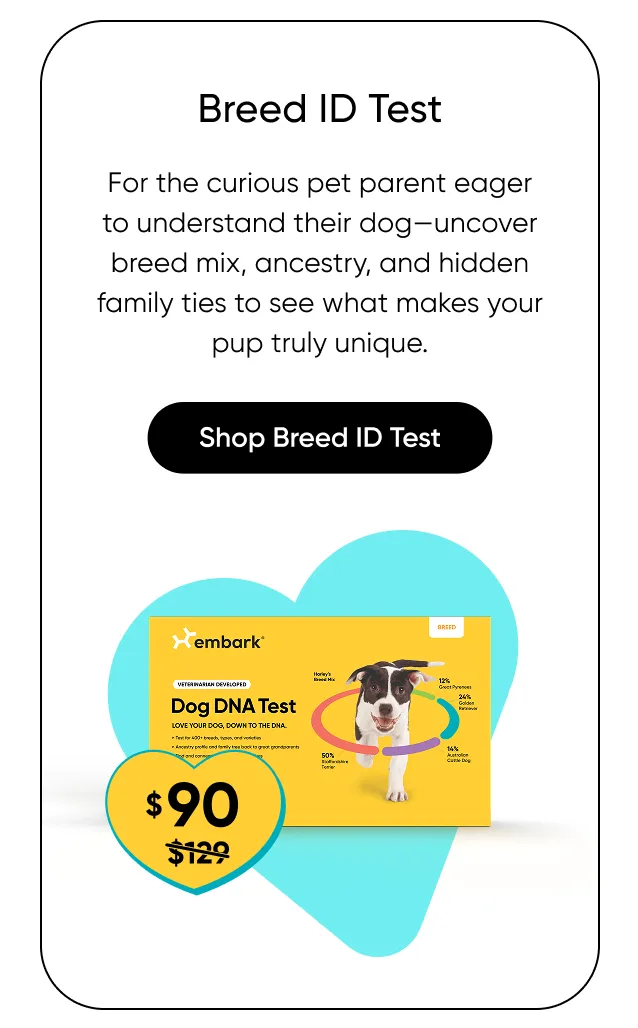 For the curious pet parent eager to understand their dog—uncover breed mix, ancestry, and hidden family ties to see what makes your pup truly unique. Shop Breed ID Test.