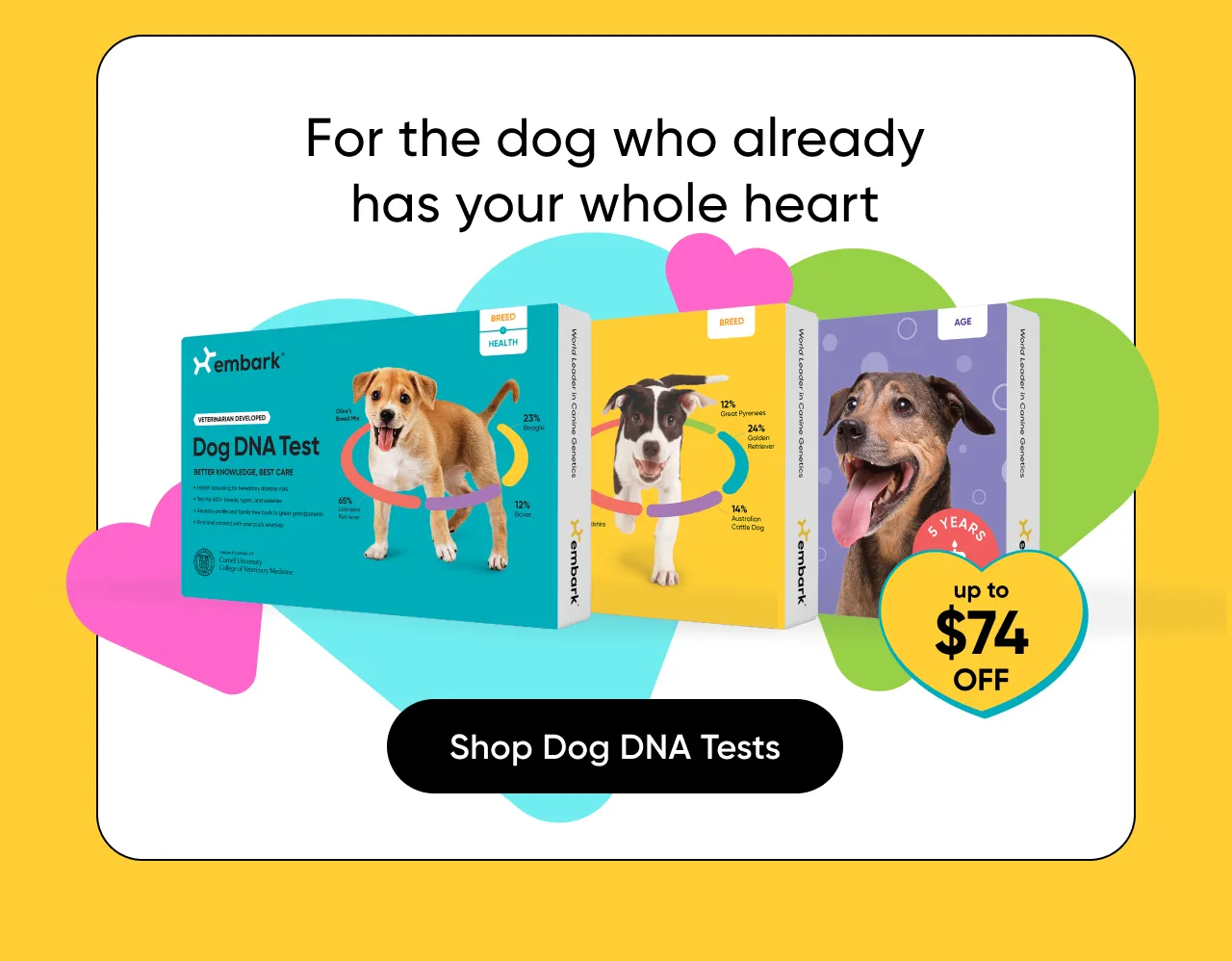 For the dog who already has your whole heart. Up to $74 off. Shop Dog DNA Tests.