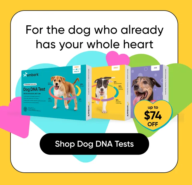 For the dog who already has your whole heart. Up to $74 off. Shop Dog DNA Tests.