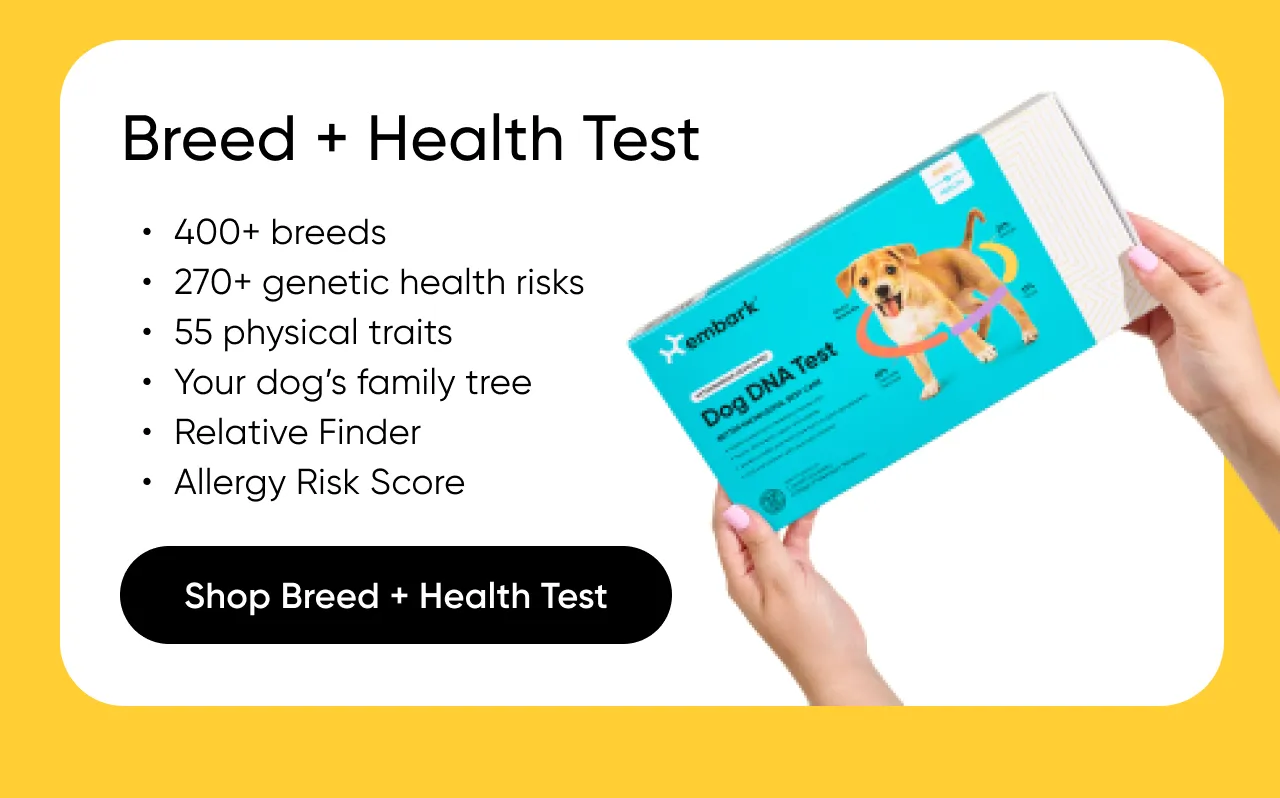Shop Breed + Health Test