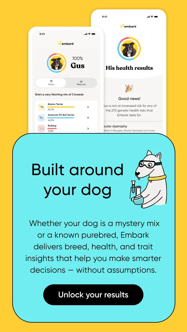 Built around your dog. Whether your dog is a mystery mix or a known purebred, Embark delivers breed, health, and trait insights that help you make smarter decisions without assumptions. Learn what makes your dog unique.