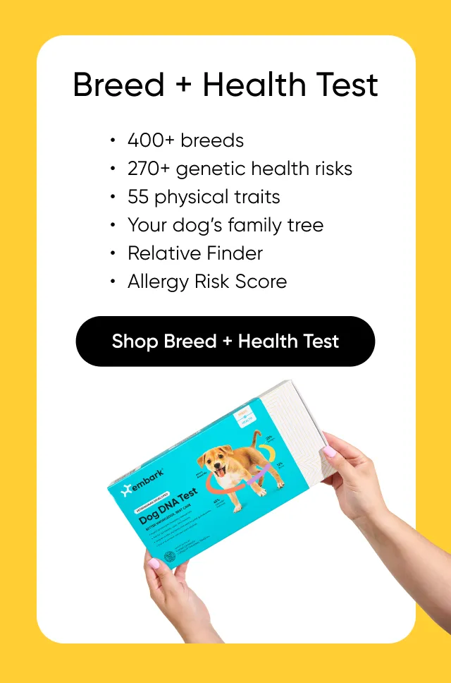 Shop Breed + Health Test