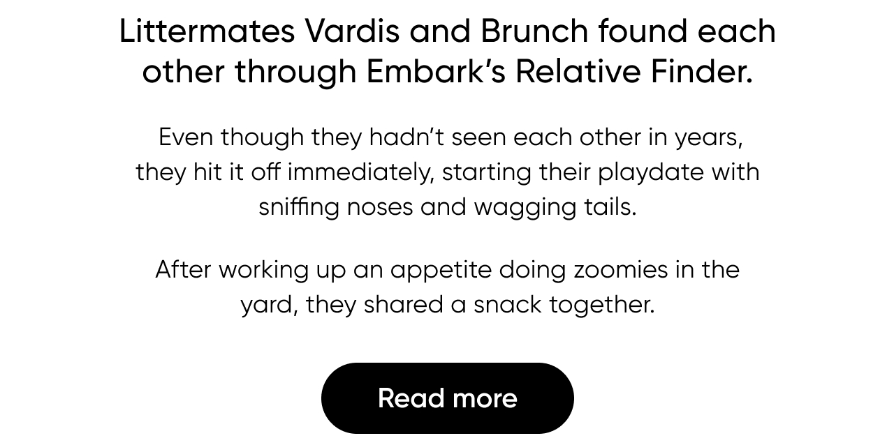 Read more about how littermates Vardis and Brunch found each other through Embark's Relative Finder