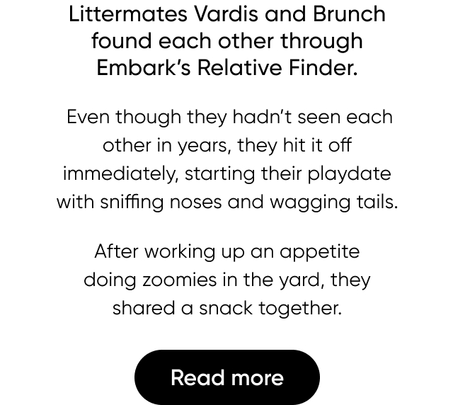 Read more about how littermates Vardis and Brunch found each other through Embark's Relative Finder