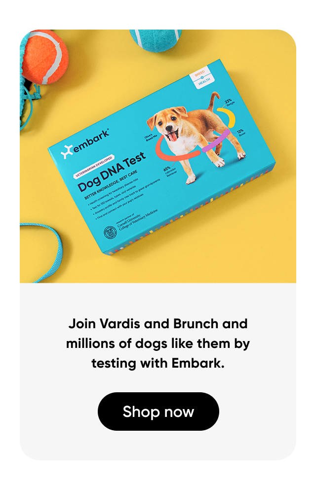 Join Vardis and Brunch and millions of dogs like them by testing with Embark