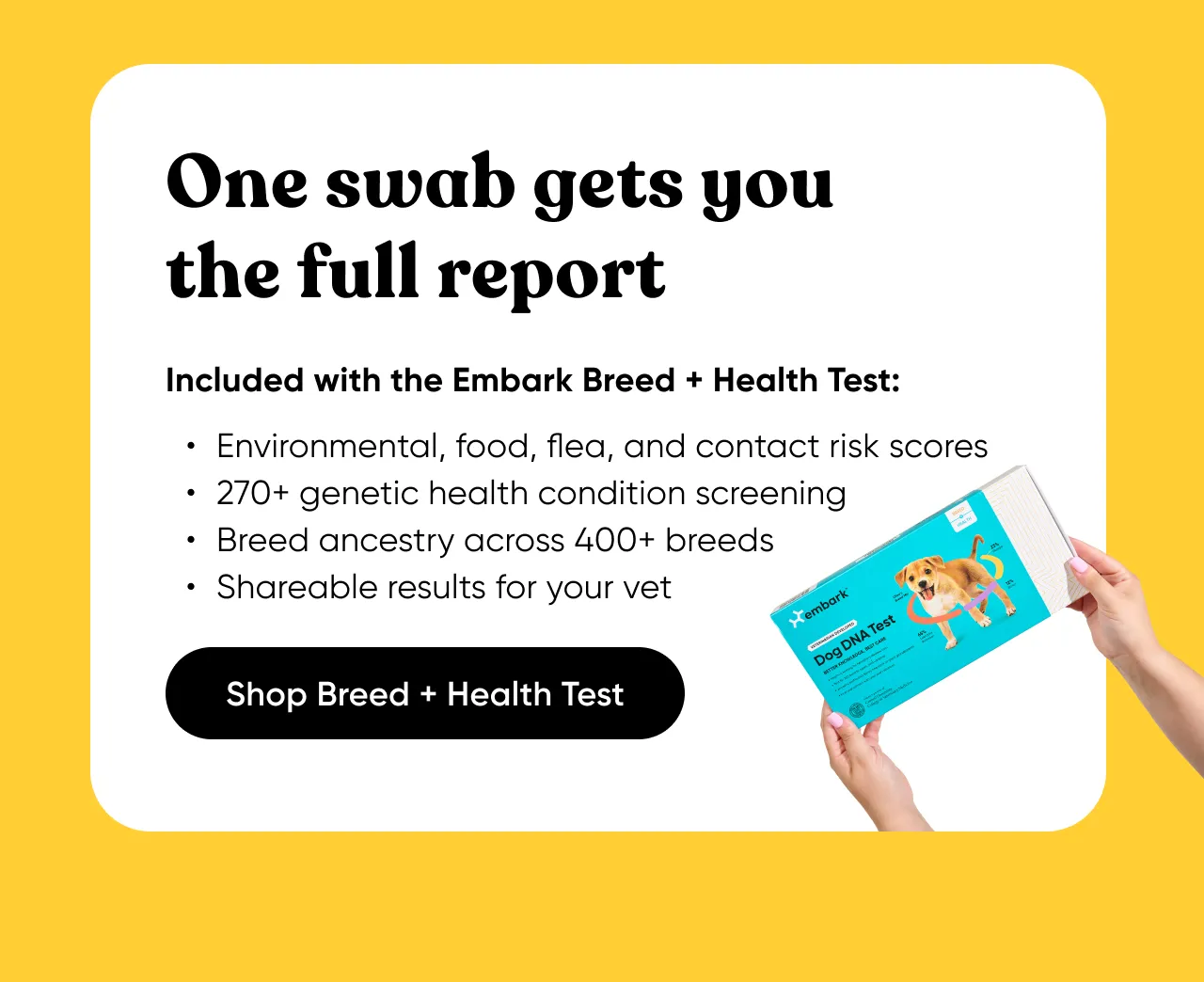 One swab gets you the full report. Included with the Embark Breed + Health Test: environmental, food, flea and contact risk scores, 270+ genetic health condition screening, breed ancestry across 400+ breeds, shareable results for your bet. Shop Breed + Health Test.