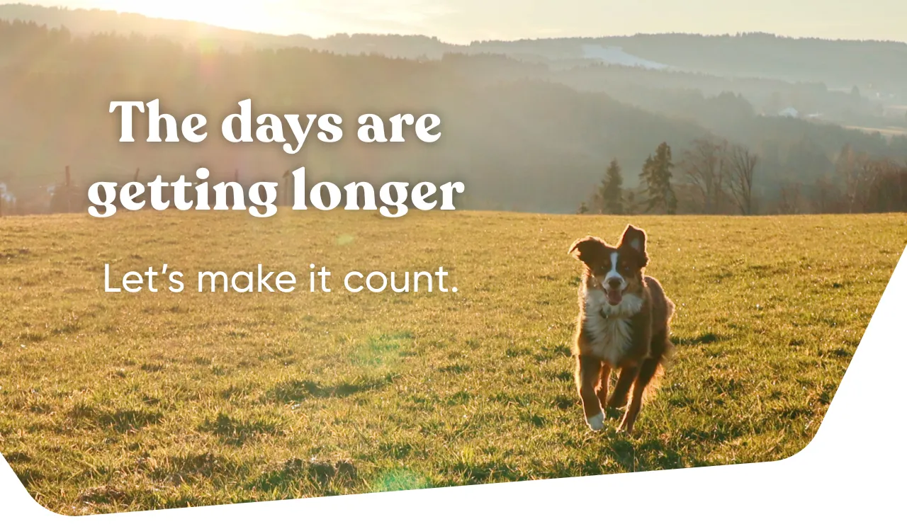 The days are getting longer. Let's make it count.