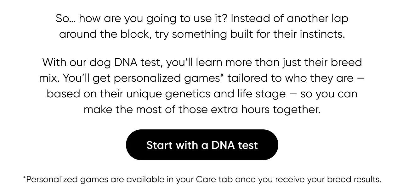 So.. how are you going to use it? Instead of another lap around the block, try something built for their instincts. With our dog DNA tests, you'll learn more than just their breed mix. You'll get personalized games* tailored to who they are—based on their unique genetics and life stage—so you can make the most of those extra hours togethers. *Personalized games are available in your Care tab once you receive your breed results. Start with a DNA test