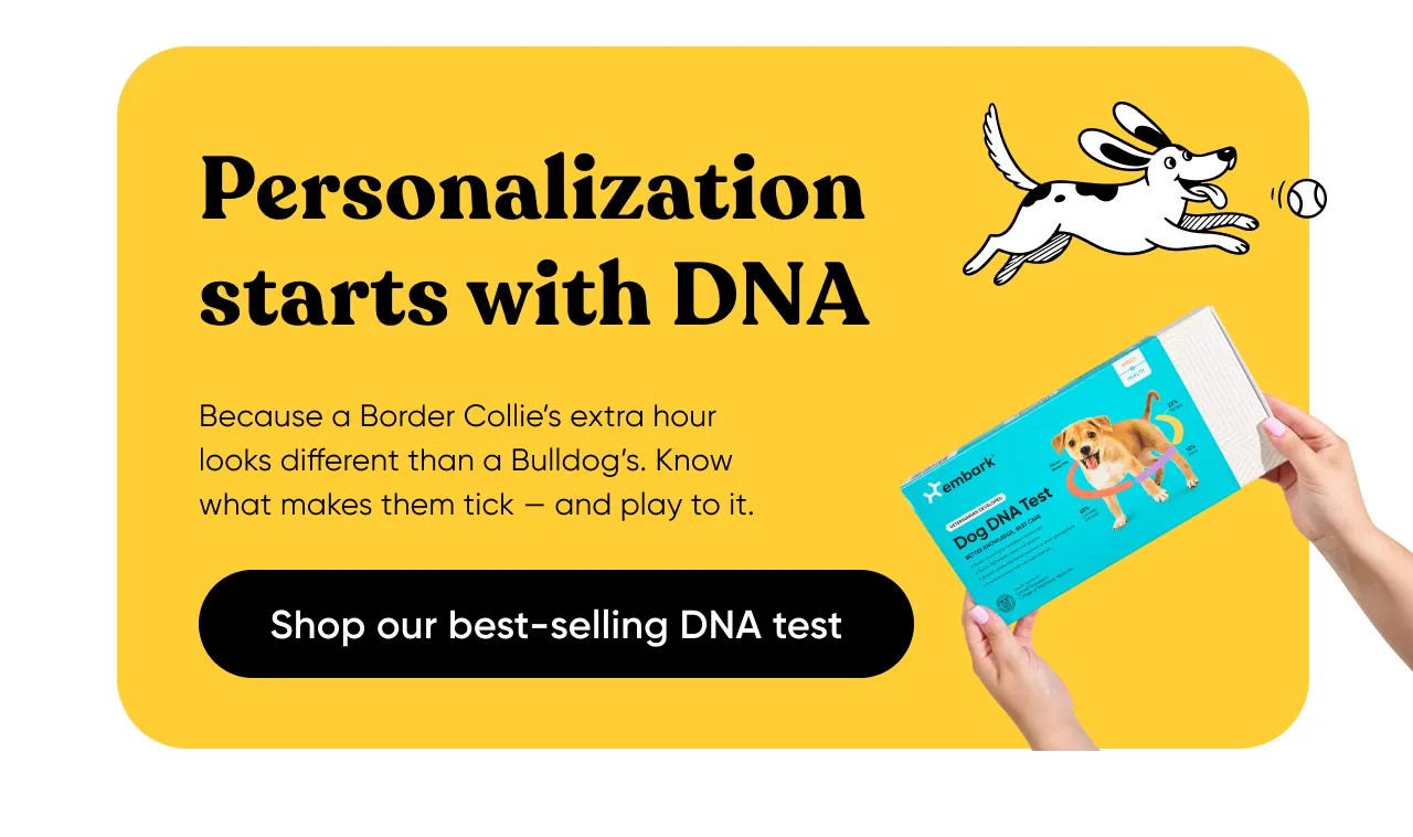Personalization starts with DNA. Because a Border Collie's extra hour looks different than a Bulldog's. Know what makes them tick—and play to it. Shop Breed + Health Test.